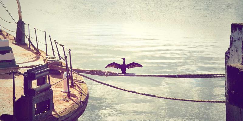 JVCAN24: Redefining Corporate Strategy and Management Consulting for the Modern Era