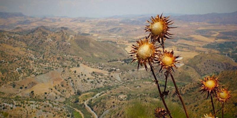 JVCAN69：管理咨询如何驱动企业变革与可持续增长