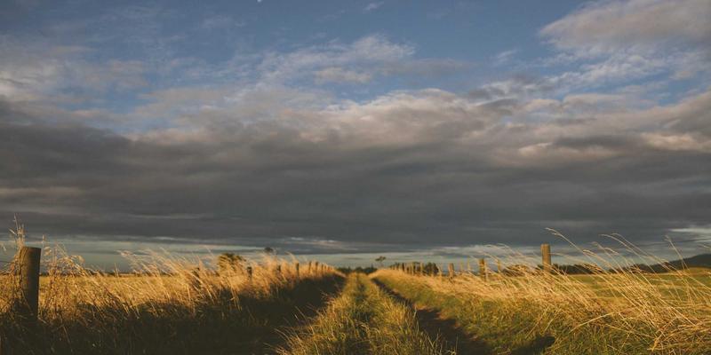 JVCAN冷链物流解决方案：以全程温控与轨迹监控驱动企业服务升级