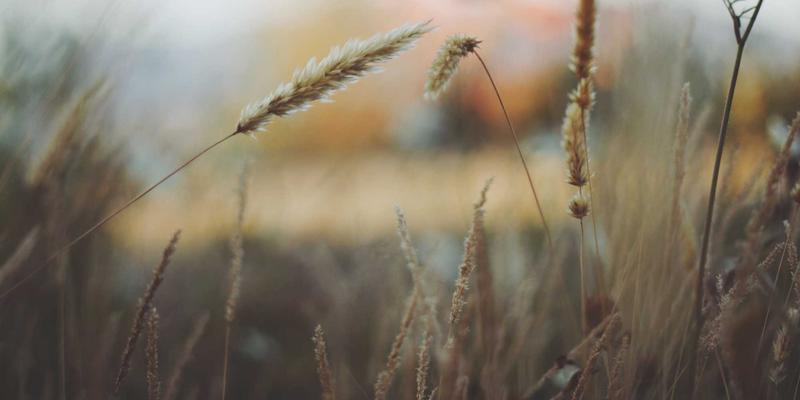 JVCAN多摄像头同步系统：科研实验数据采集的革命性解决方案与专业管理咨询服务