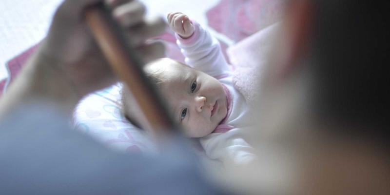 JVCAN显微成像系统：赋能生物医学与材料科学研究的创新企业服务战略