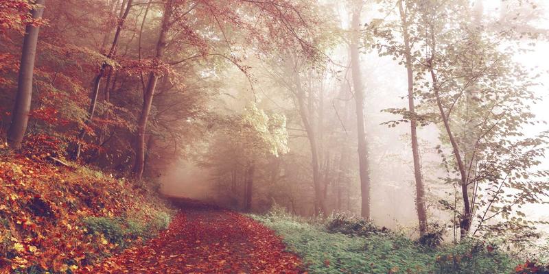 JVCAN智能解决方案：驱动智慧城市市政设施自动化巡检的商业咨询新范式