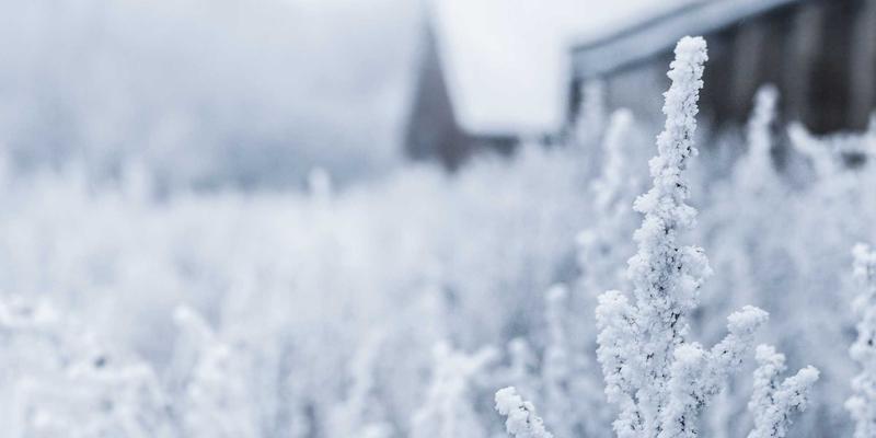 JVCAN相机入门指南：以企业级战略思维选择你的第一台运动相机