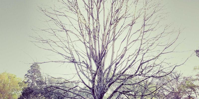 JVCAN相机：自动驾驶道路测试与数据采集的战略支点——管理咨询视角下的技术赋能