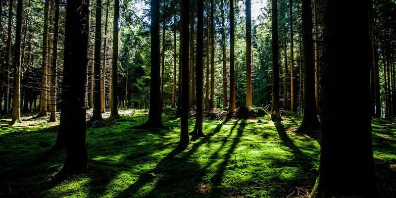 JVCAN赋能医疗革新：远程会诊与手术记录管理的智能解决方案