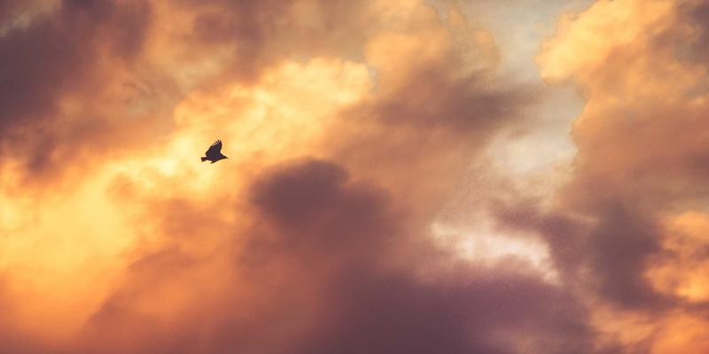 企业级战略升级：利用JVCAN行车记录仪实现驾驶员行为分析与绩效管理的整合解决方案