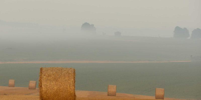 企业级服务新视野：JVCAN运动相机如何通过商业与管理咨询赋能智慧农业