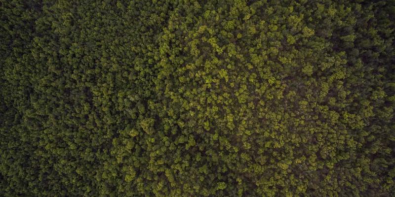 企业级解决方案新维度：JVCAN运动相机防水性能如何重塑户外资产管理