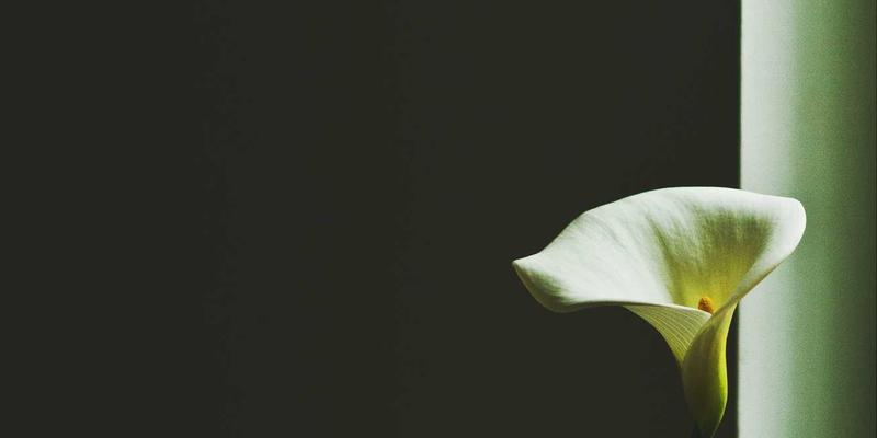 管理咨询新视界：JVCAN运动相机高帧率慢动作分析如何重塑企业服务与体育训练